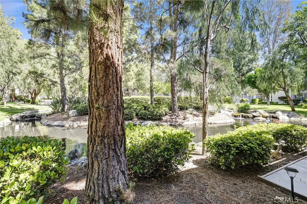 26701 Quail Creek 147