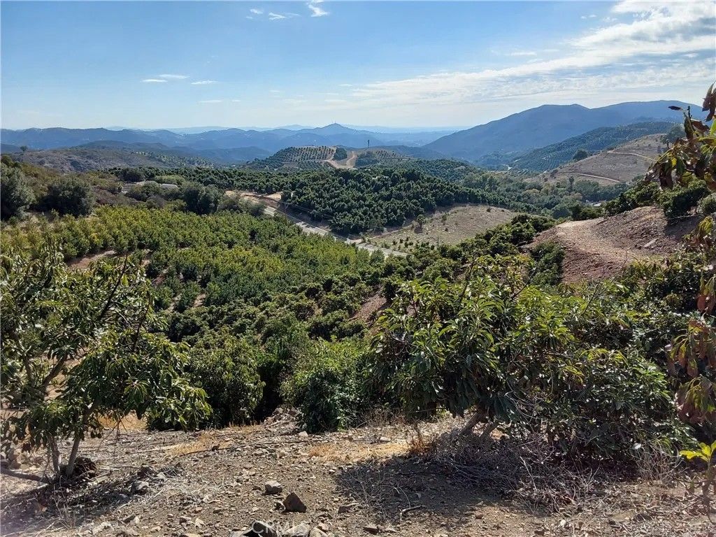 Photo of 3 Via Vaquero, Temecula, CA 92590 (MLS # SW25267195)