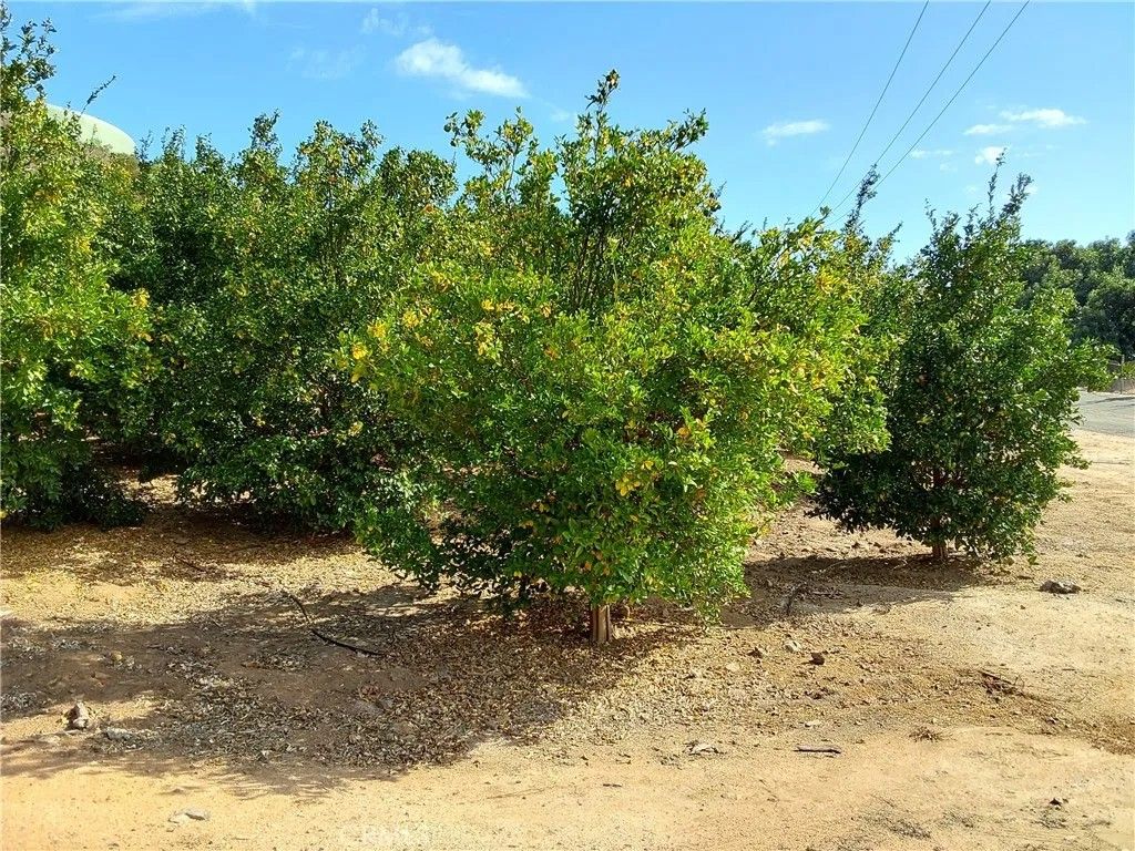 Photo of 3 Via Vaquero, Temecula, CA 92590 (MLS # SW25267195)