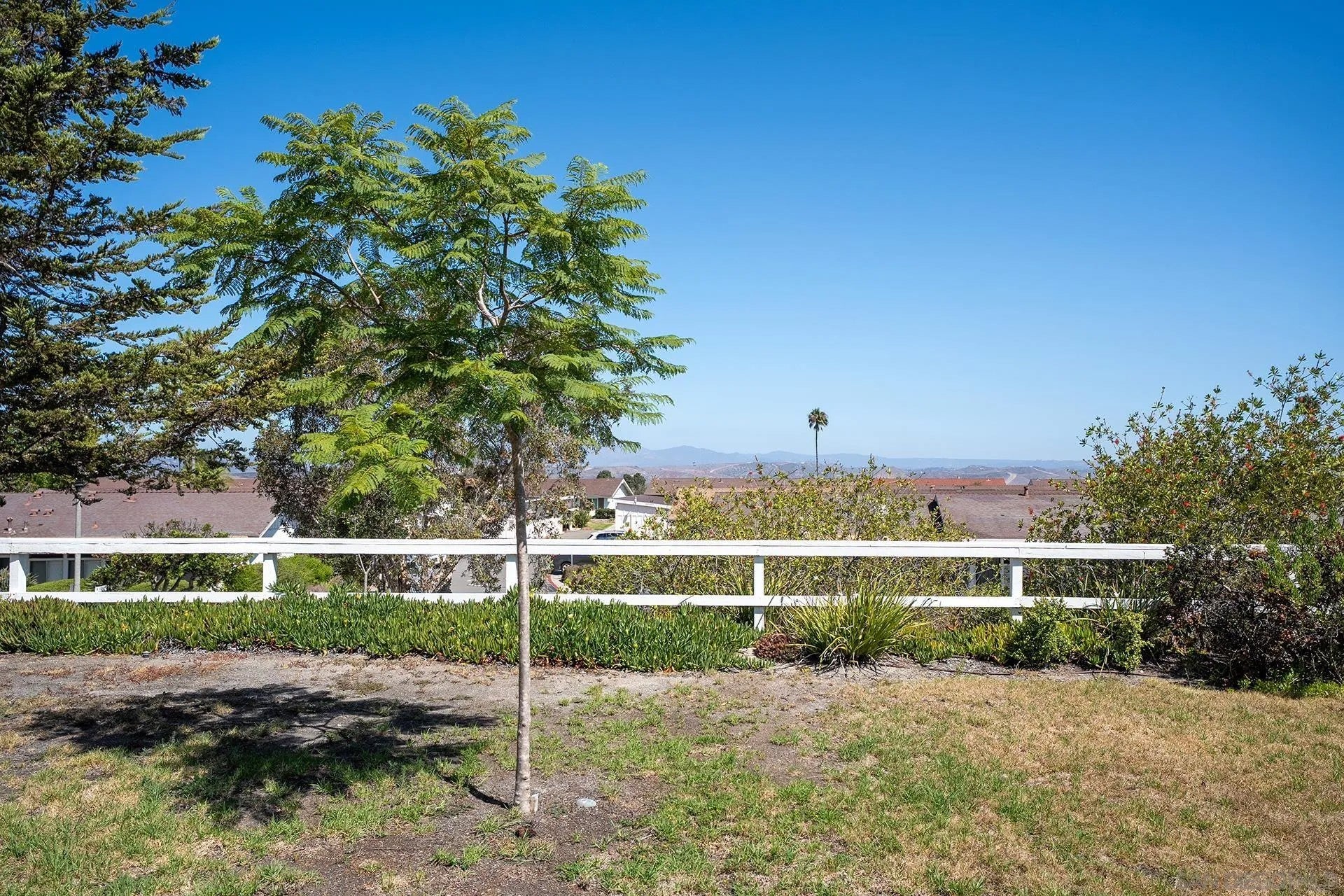 3685 Vista Campana North 5