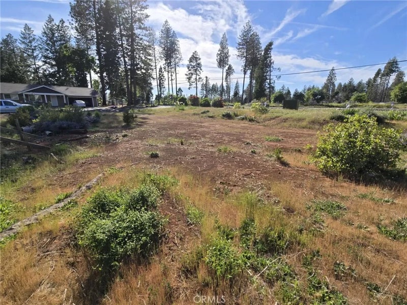 6342 Ponderosa