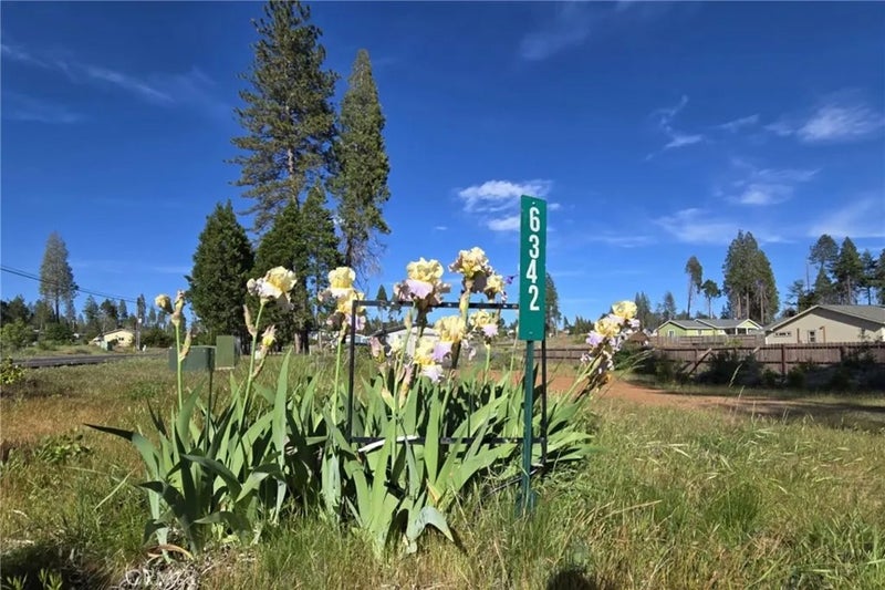 6342 Ponderosa
