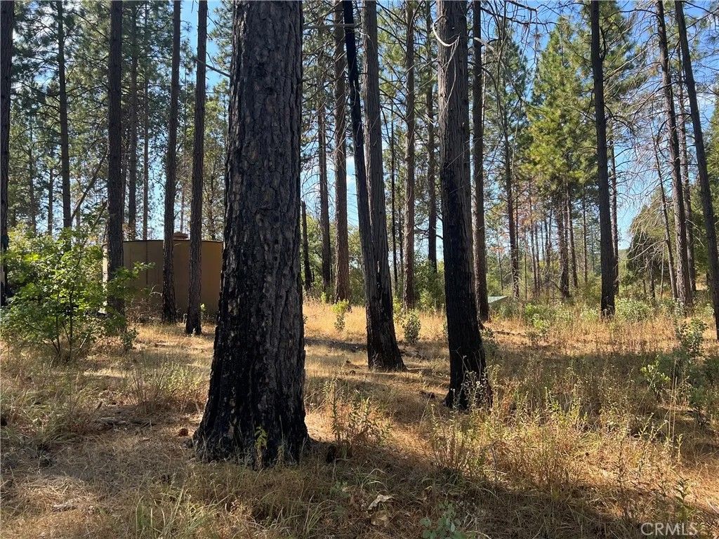Photo of 13477 Cirby Creek Road, Oroville, CA 95965 (MLS # OR26015183)