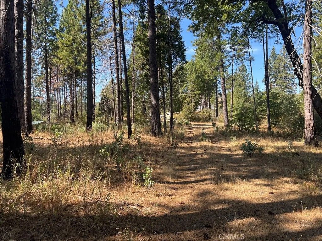 Photo of 13477 Cirby Creek Road, Oroville, CA 95965 (MLS # OR26015183)