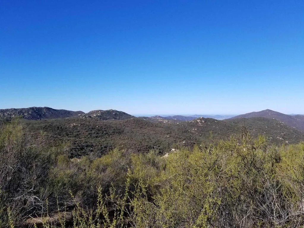 Trail Lots 1-9