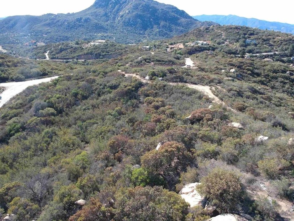 Photo of Trail Lots 1-9, Jamul, CA 91935 (MLS # PTP2600098)
