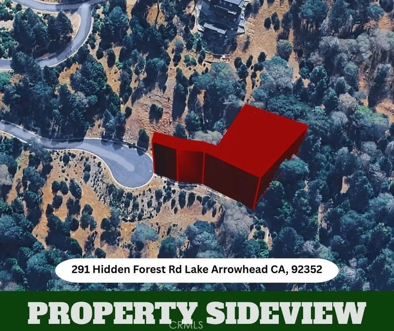 291 Hidden Forest