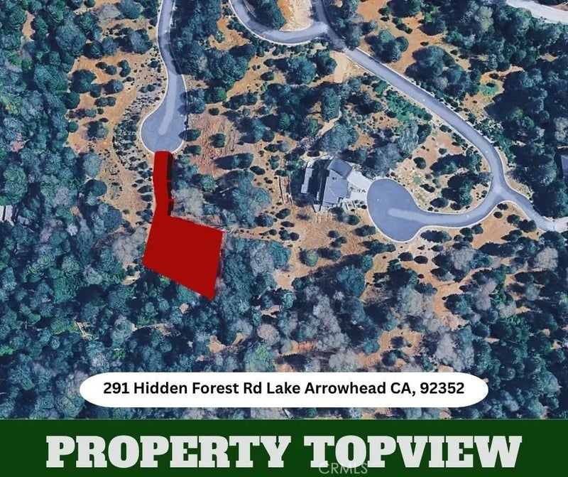 291 Hidden Forest