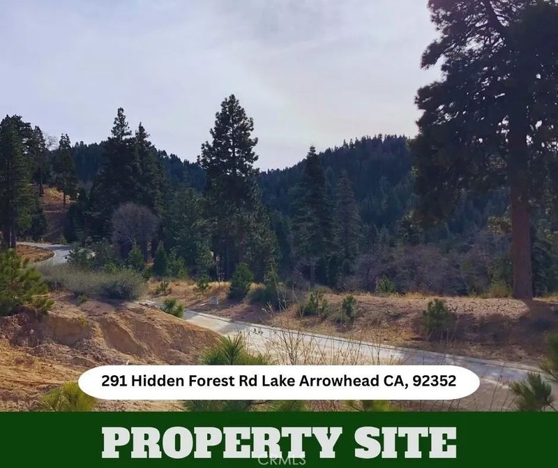 291 Hidden Forest