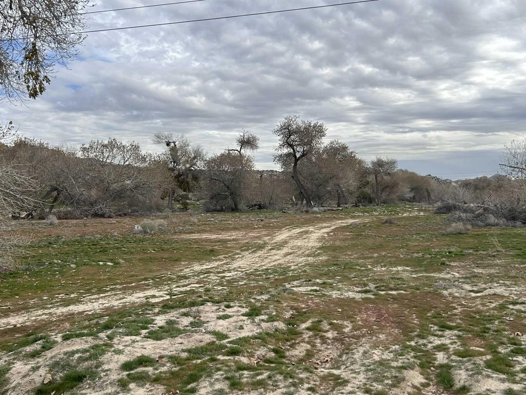 Photo of 17930 National Trails Hwy, Oro Grande, CA 92368 (MLS # 260009716)