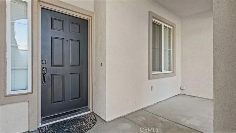 29128 Blue Spruce