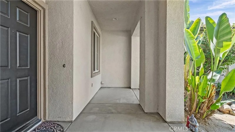 29128 Blue Spruce