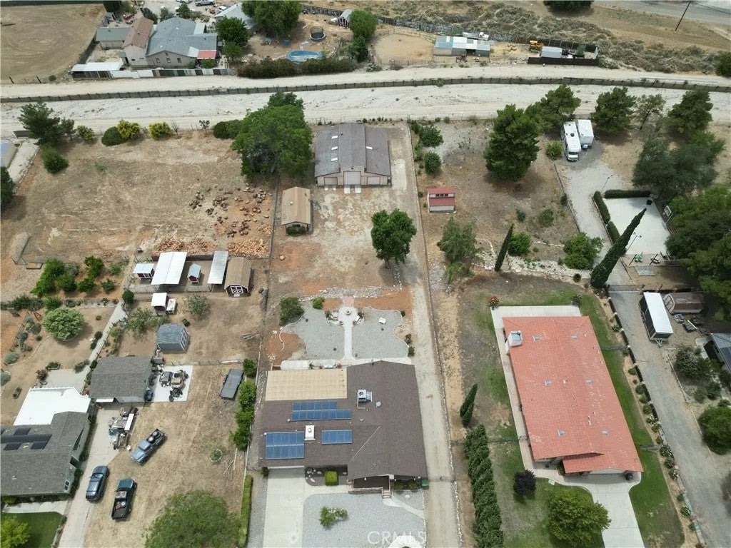 10123 Live Oak
