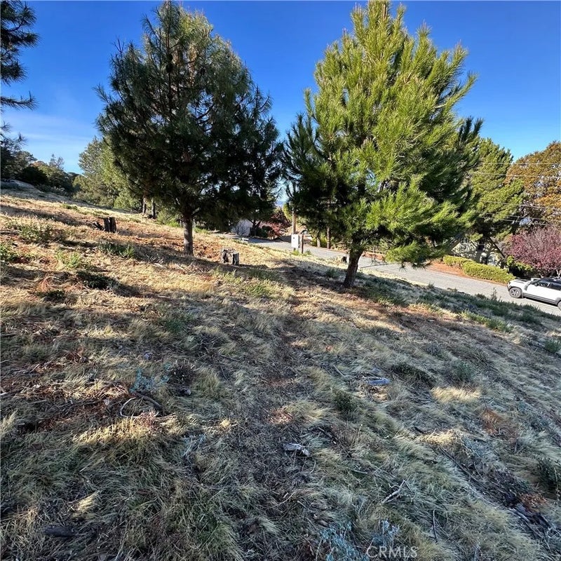 7826 Evergreen