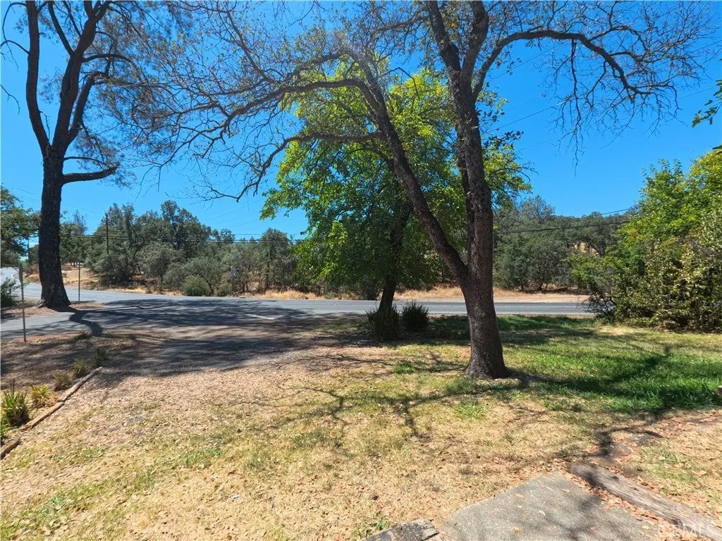 22 Roble