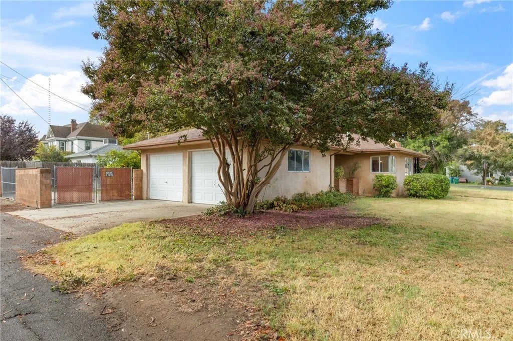 1495 Spruce