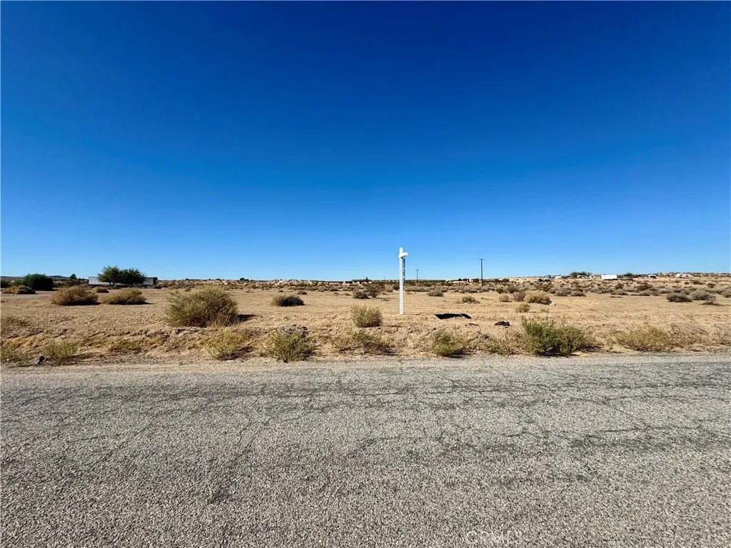 0 Rodeo