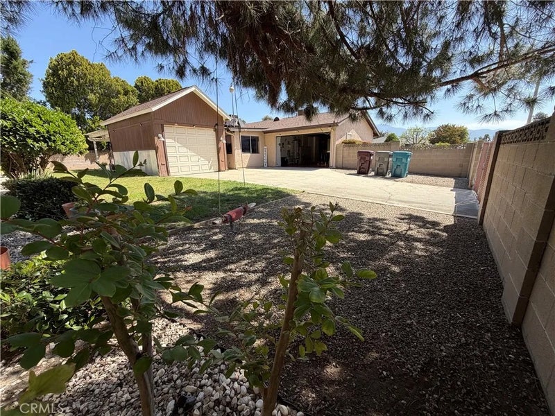 26205 Lodgepole