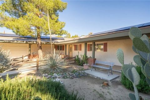 Tiny photo for 54940 Benecia Trl, Yucca Valley, CA 92284 (MLS # OC25275566)
