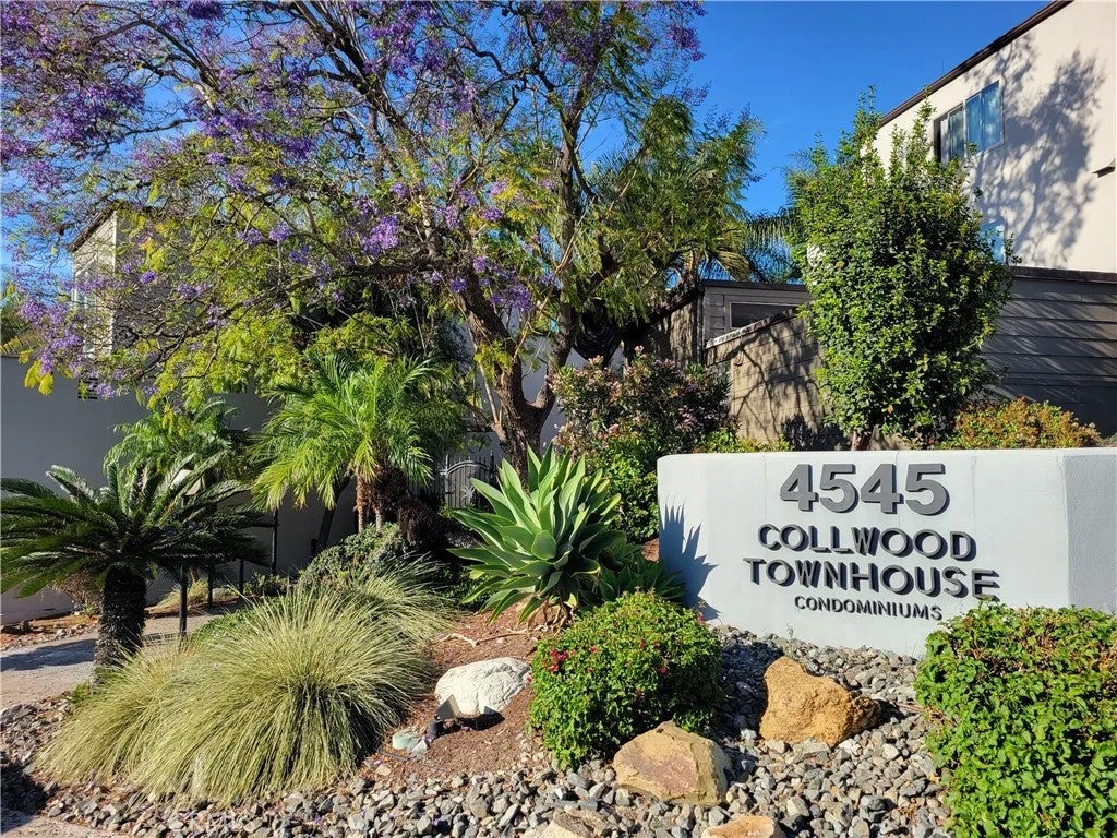 4545 Collwood Boulevard 19