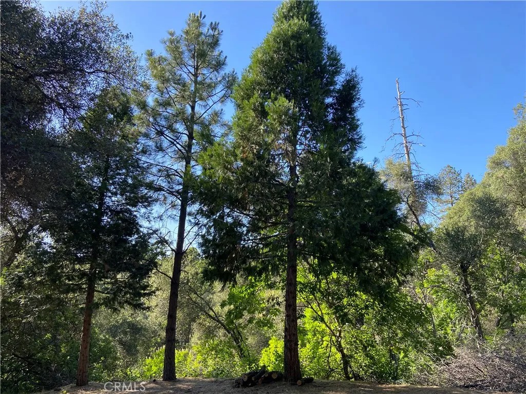 3627 Manzanita
