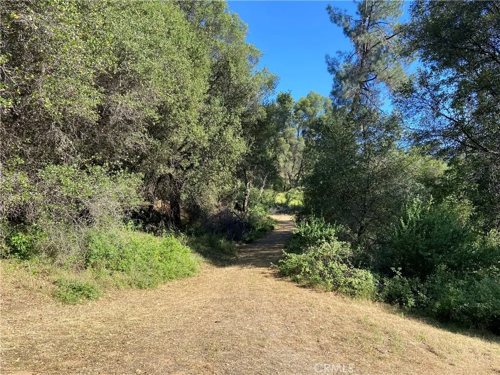 3627 Manzanita