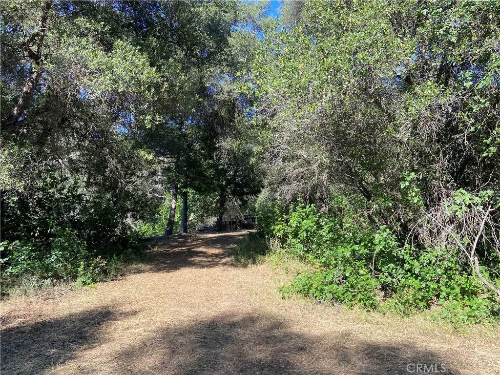3627 Manzanita