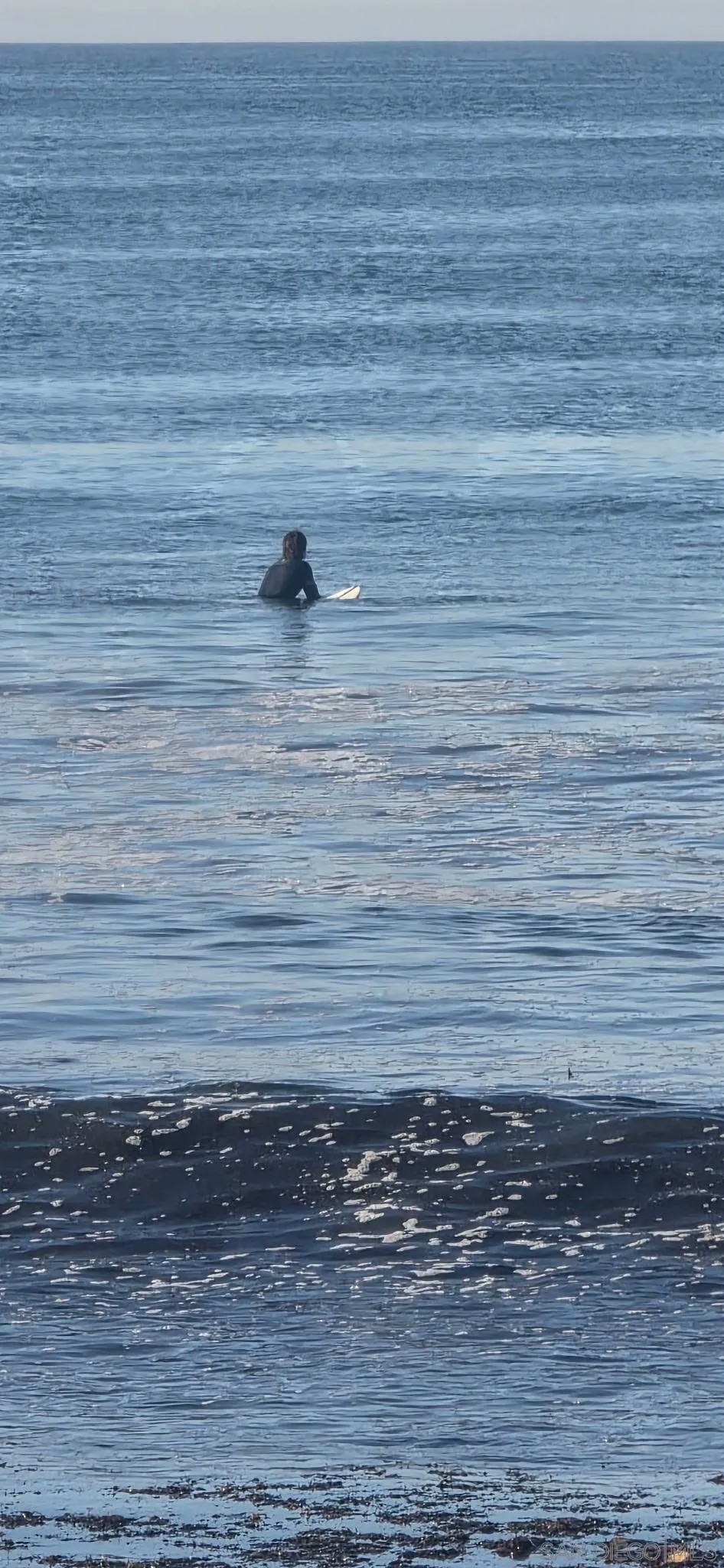 1730 Avenida Del Mundo 610