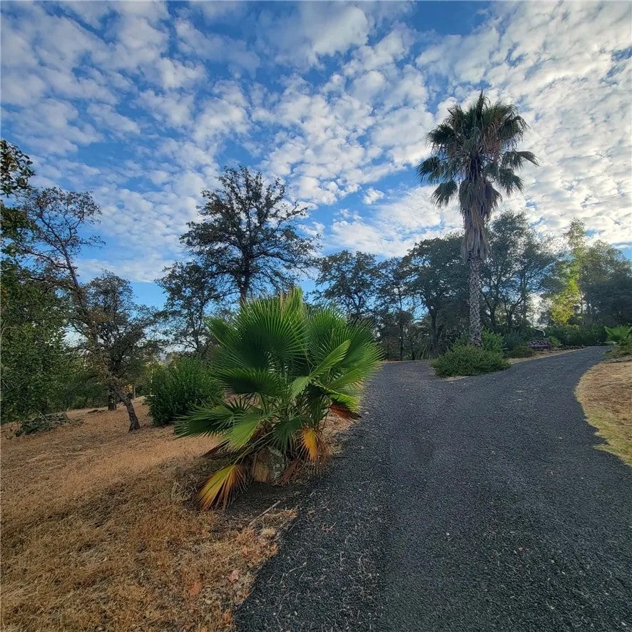 289 Skyline Boulevard