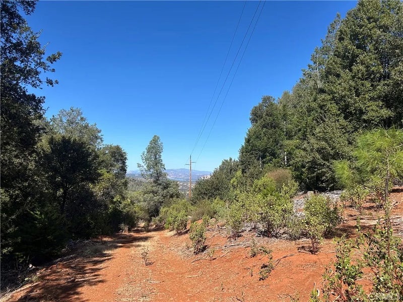 17615 Ponderosa