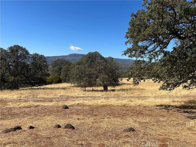 17615 Ponderosa
