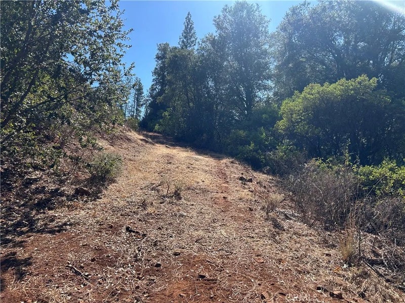 17615 Ponderosa