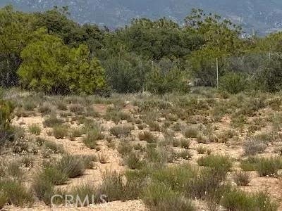 Photo of 19 Higgins, Anza, CA 92539 (MLS # SW25221593)