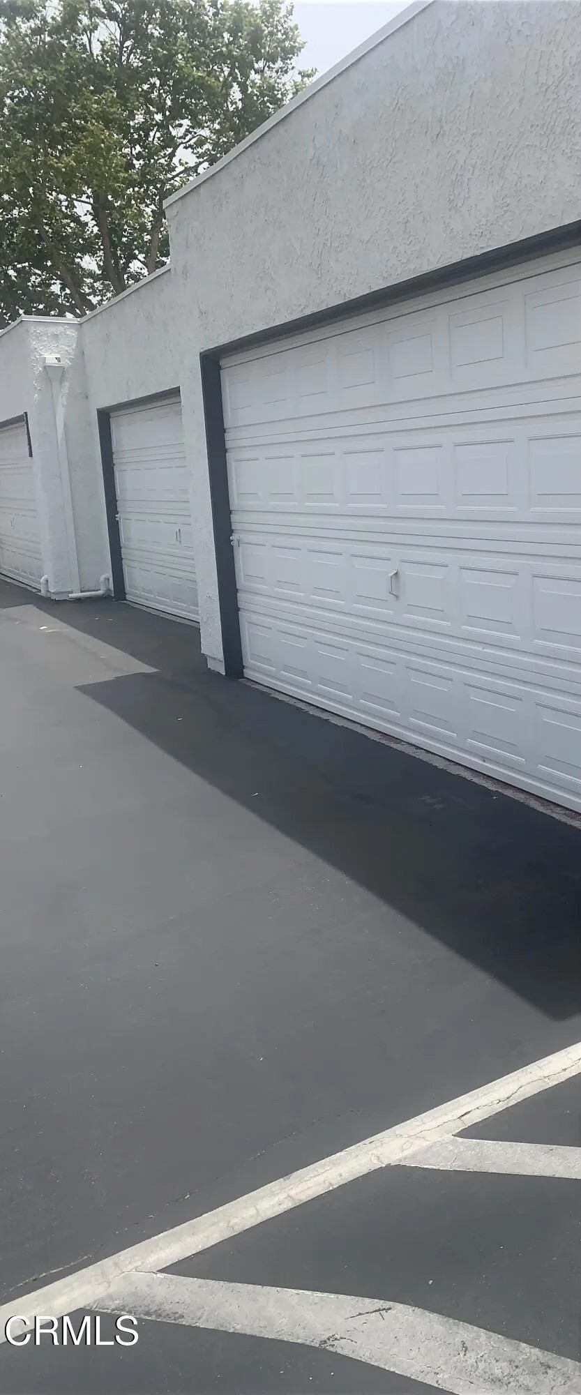 3017 Kelp Lane