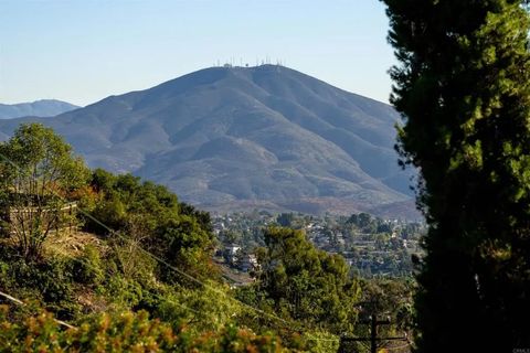 Tiny photo for 10111 Pinnacle Lane, La Mesa, CA 91941 (MLS # PTP2509134)