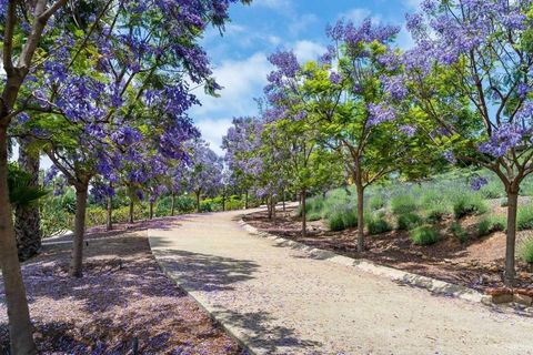Tiny photo for 18245 Paseo Victoria, Rancho Santa Fe, CA 92067 (MLS # NDP2409890)