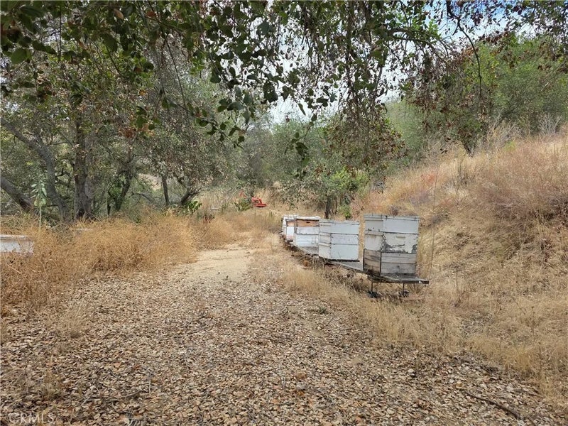 0 Live Oak Creek