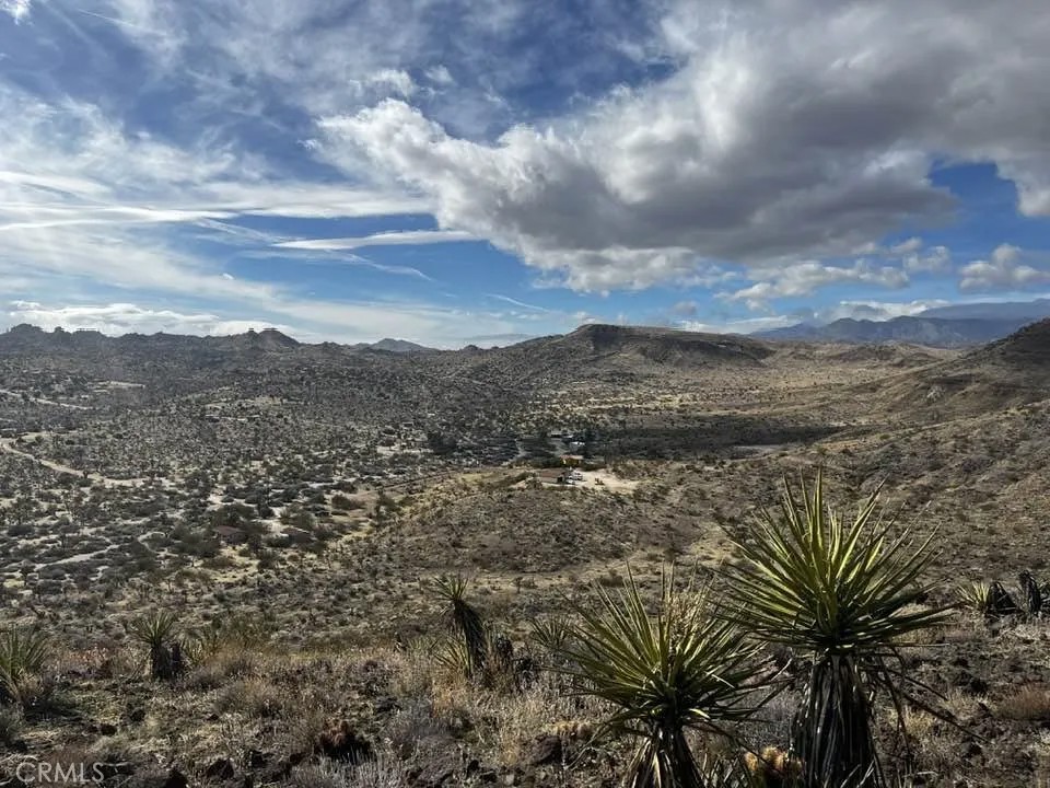 56365 Terra Vista
