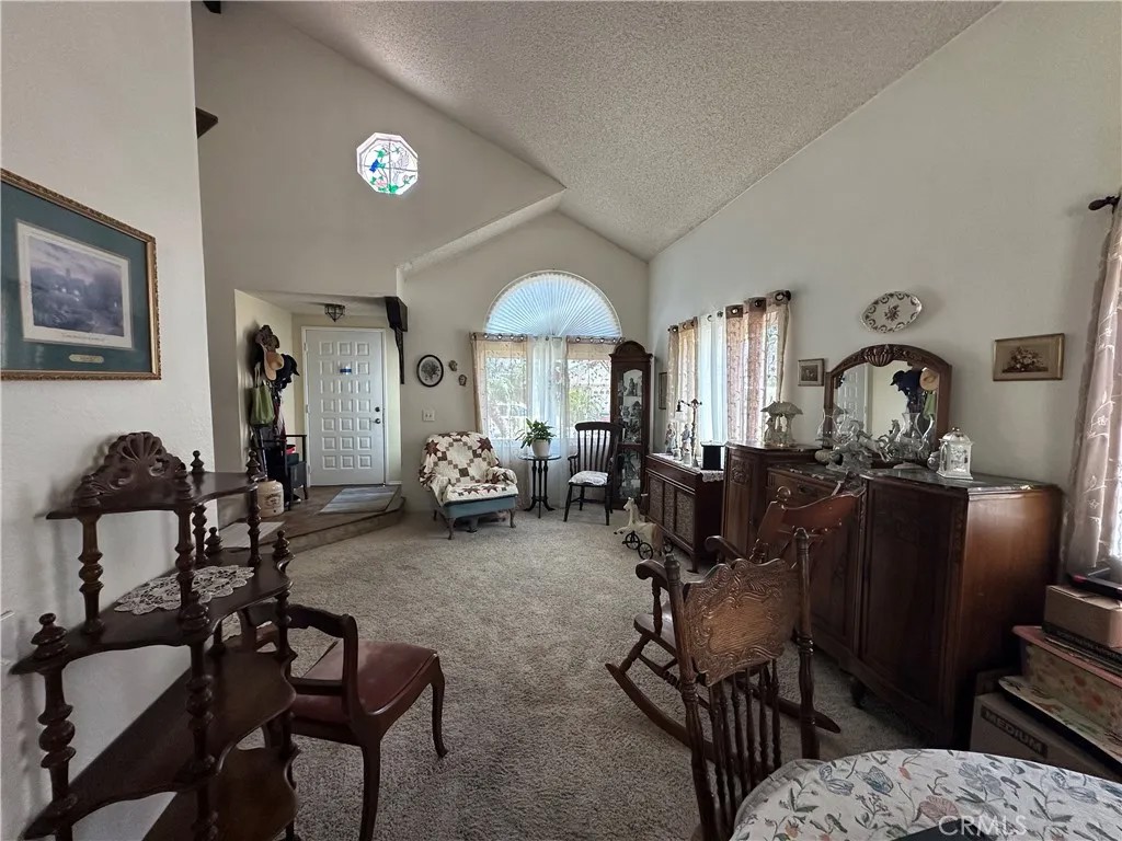14805 Weeping Willow