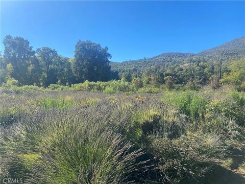 Tiny photo for 11255 Rancheria Rd, Upper Lake, CA 95485 (MLS # LC25245069)