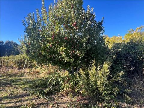 Tiny photo for 11255 Rancheria Rd, Upper Lake, CA 95485 (MLS # LC25245069)