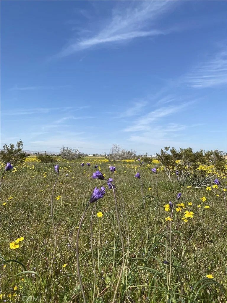 Photo of 0 Vacant Land, Mojave, CA 93501 (MLS # SR26095404)
