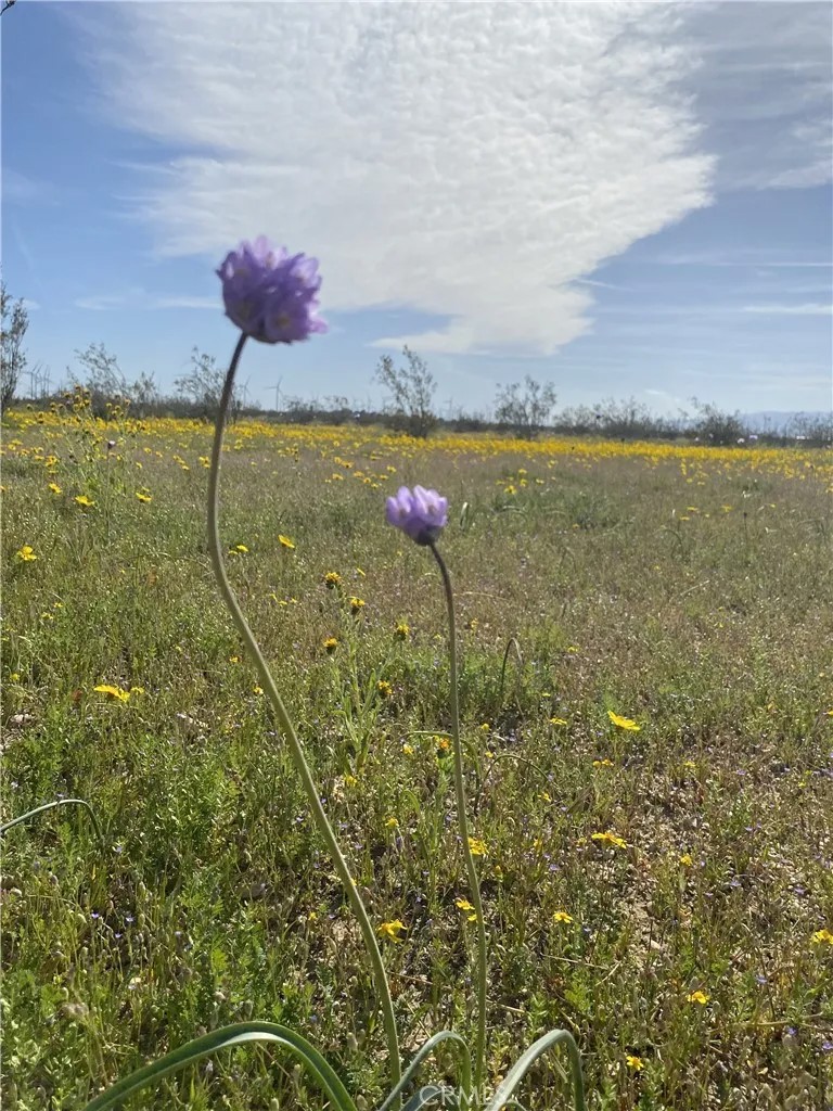 0 Vacant Land
