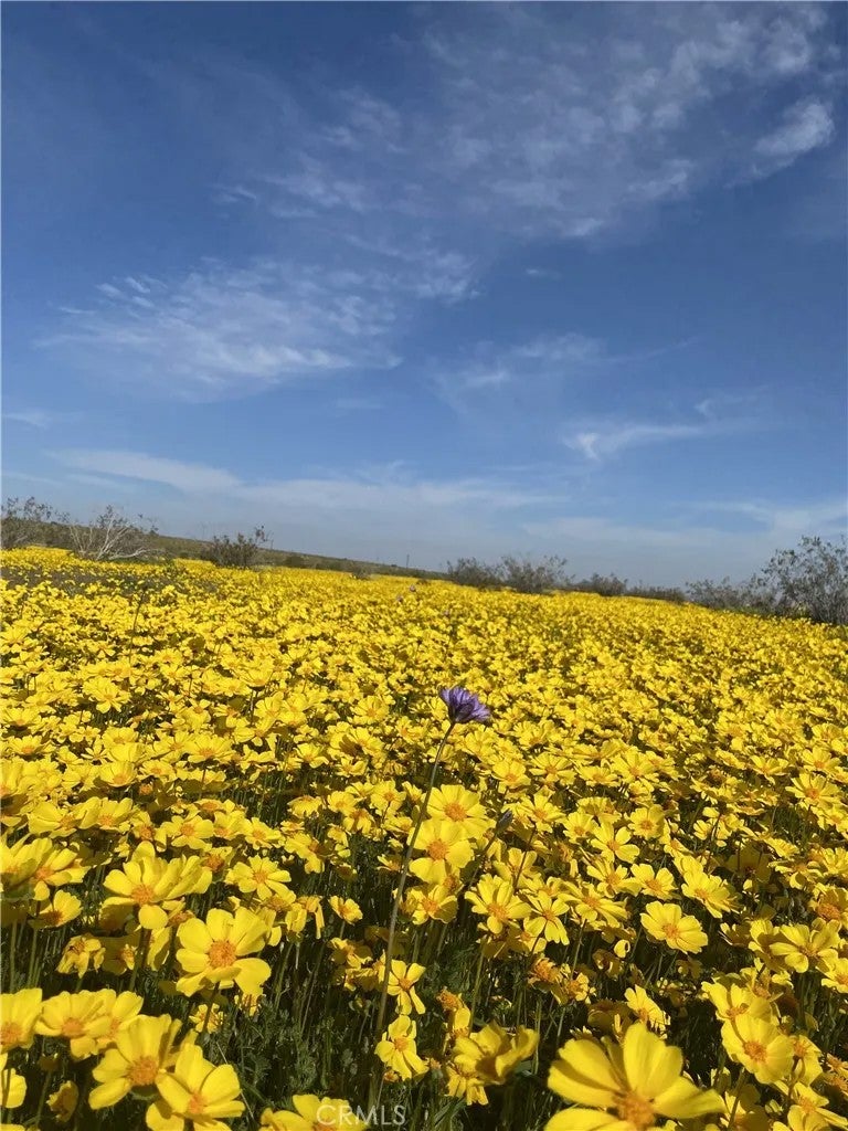 Photo of 0 Vacant Land, Mojave, CA 93501 (MLS # SR26095404)