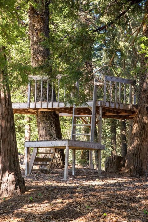 Tiny photo for 3413 Fern Meadow, Palomar Mountain, CA 92060 (MLS # 260008626)