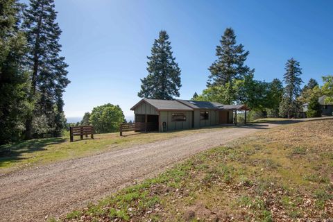 Tiny photo for 3413 Fern Meadow, Palomar Mountain, CA 92060 (MLS # 260008626)