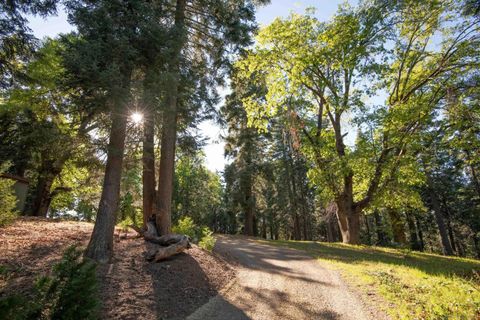Tiny photo for 3413 Fern Meadow, Palomar Mountain, CA 92060 (MLS # 260008626)
