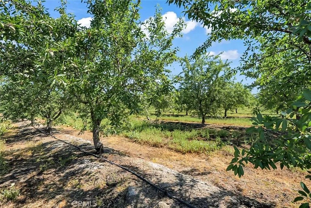 Photo of 0 Buchanan Hollow, Le Grand, CA 95333 (MLS # MC26079502)