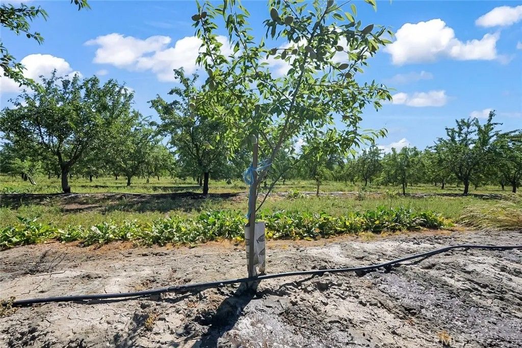 Photo of 0 Buchanan Hollow, Le Grand, CA 95333 (MLS # MC26079502)