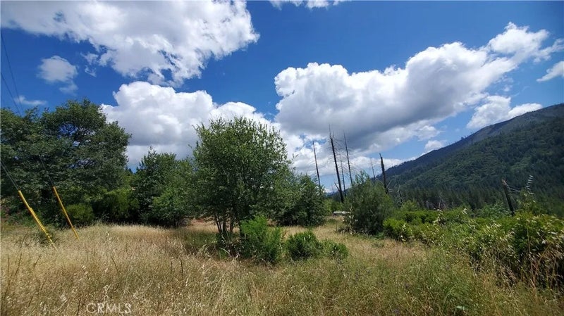 15353 Shasta